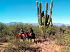 USA-Arizona-Apache Trail